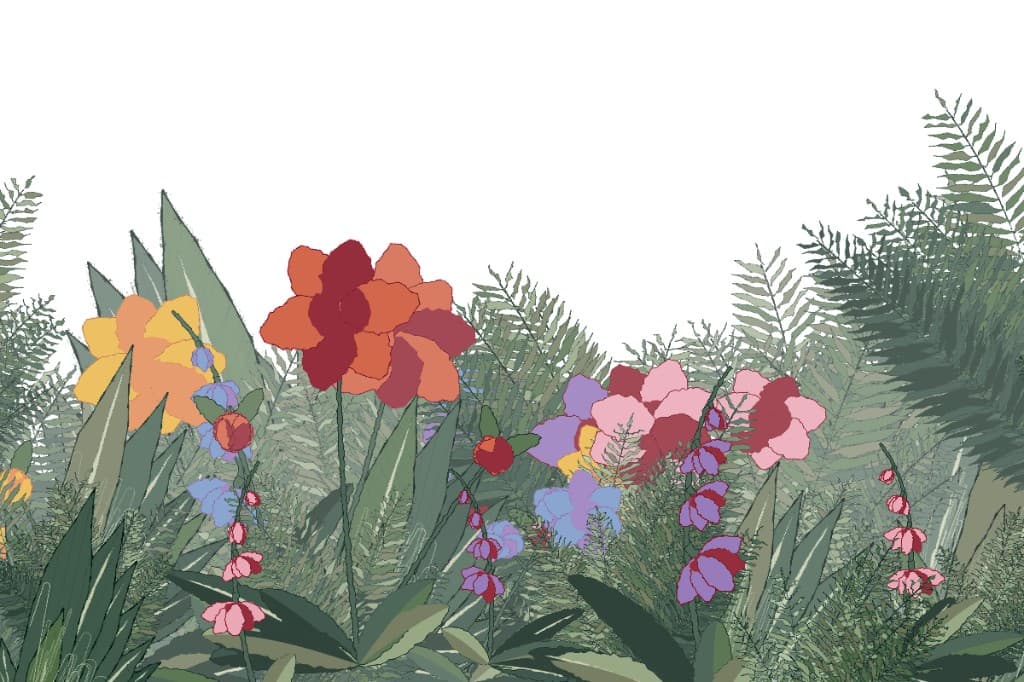 An early 3:2 garden: flat outlined ferns and a few large blooms on white paper.