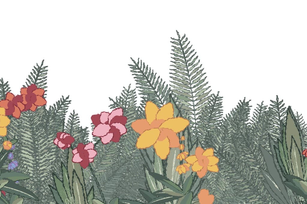 A denser 3:2 garden dominated by textured ferns, with terracotta and pink blooms.
