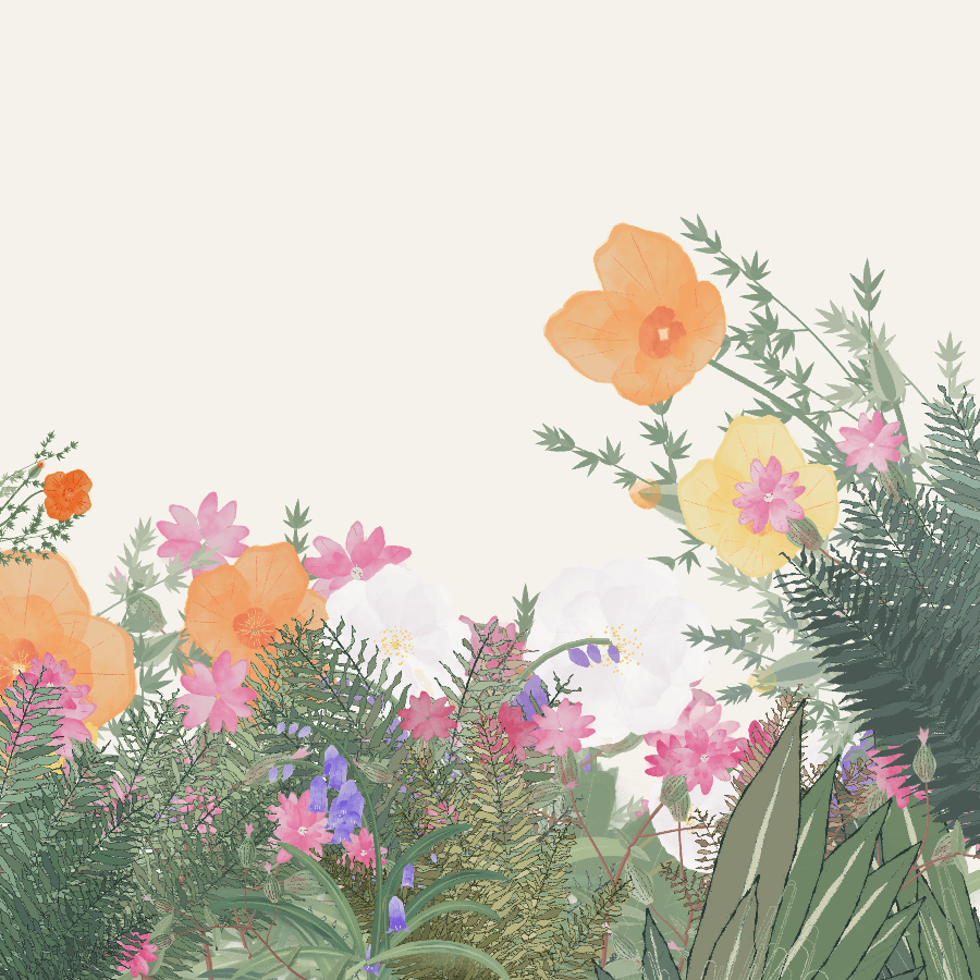 A square garden with translucent poppies, pink stars, bluebells, and an open cream sky.